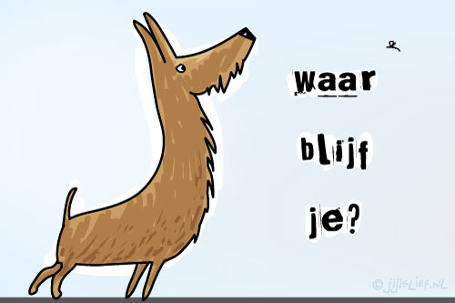 Kaart: Waar blijf je?