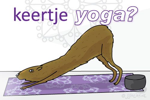 Kaart: Keertje yoga?