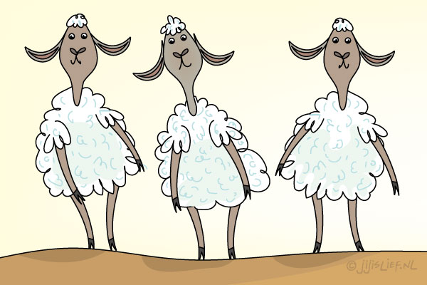 Kaart: Schaapjes