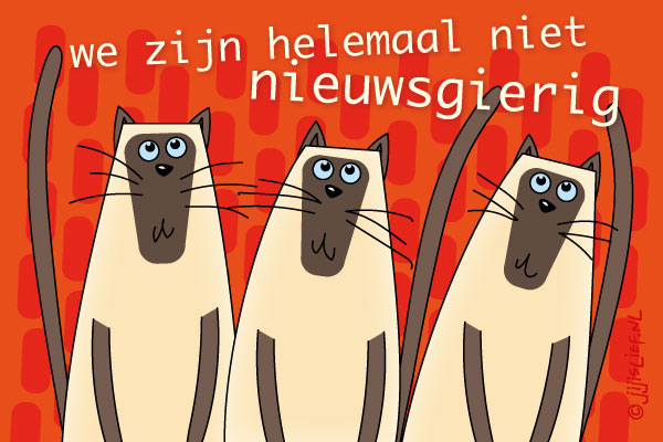 Kaart: Niet nieuwsgierig