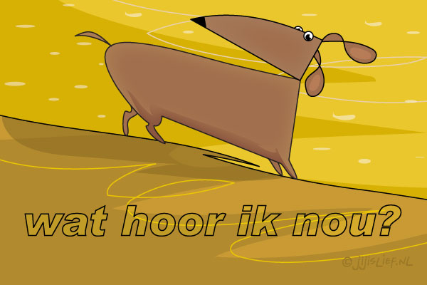 Kaart: Wat hoor ik nou?