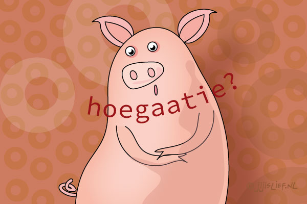 Kaart: Hoe gaat het?