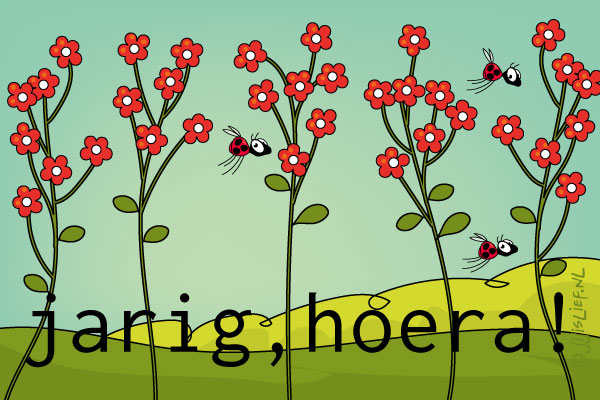 Kaart: Jarig, hoera!