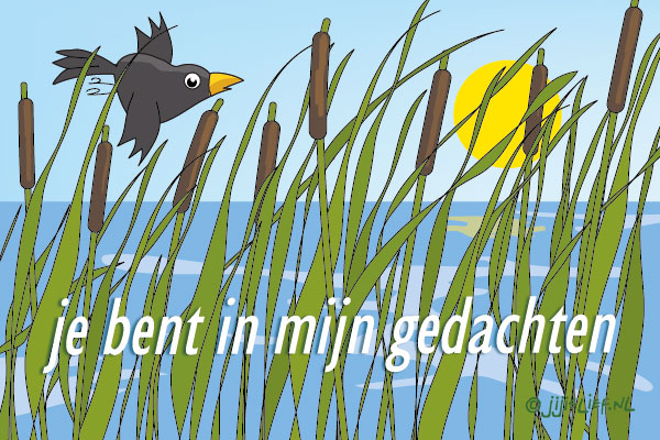 Kaart: In mijn gedachten