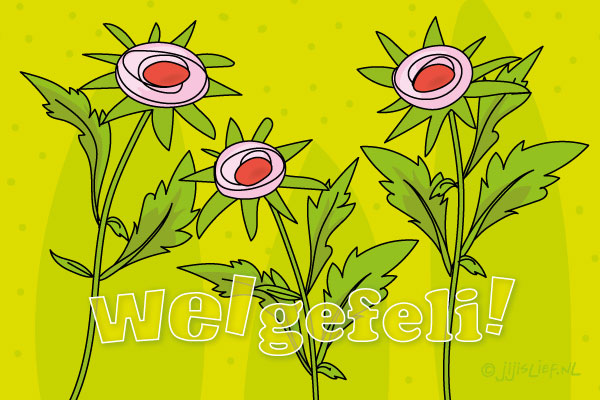 Kaart: Welgefeliciteerd!