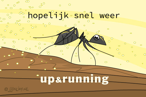 Kaart: Hopelijk snel weer beter