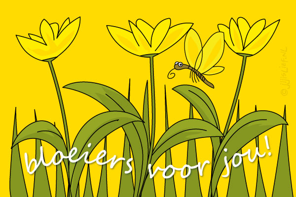 Kaart: Bloeiers voor jou!
