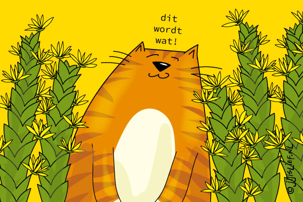 Kaart: Dit wordt wat!