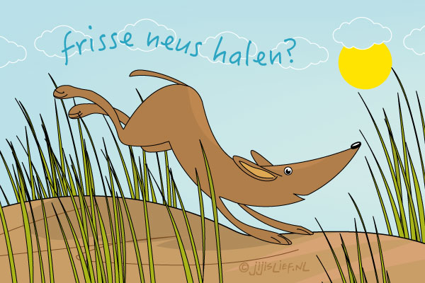 Kaart: Frisse neus halen?