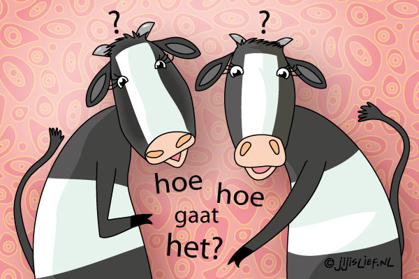 Kaart: Hoe gaat het?