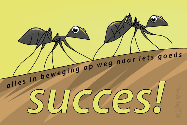 Kaart: Succes!